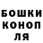 Каннабис планчик Knight Alaster