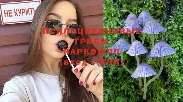 СК Гусь-Хрустальный