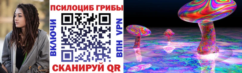 Псилоцибиновые грибы мицелий  Купить  Луховицы 